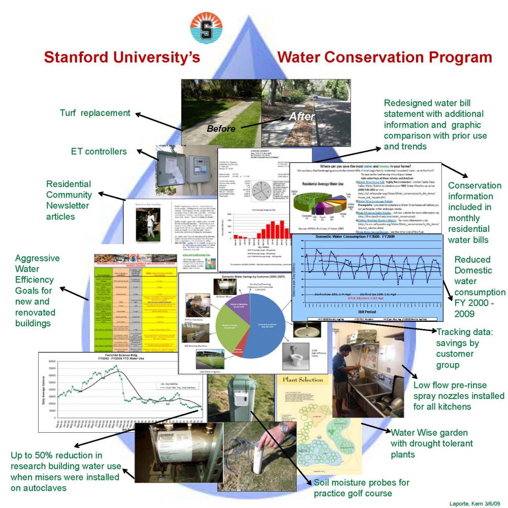 Stanford Lbre Org Chart