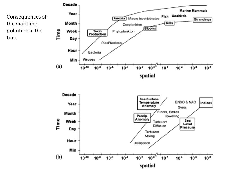 consequences of the maritime pollution in the time