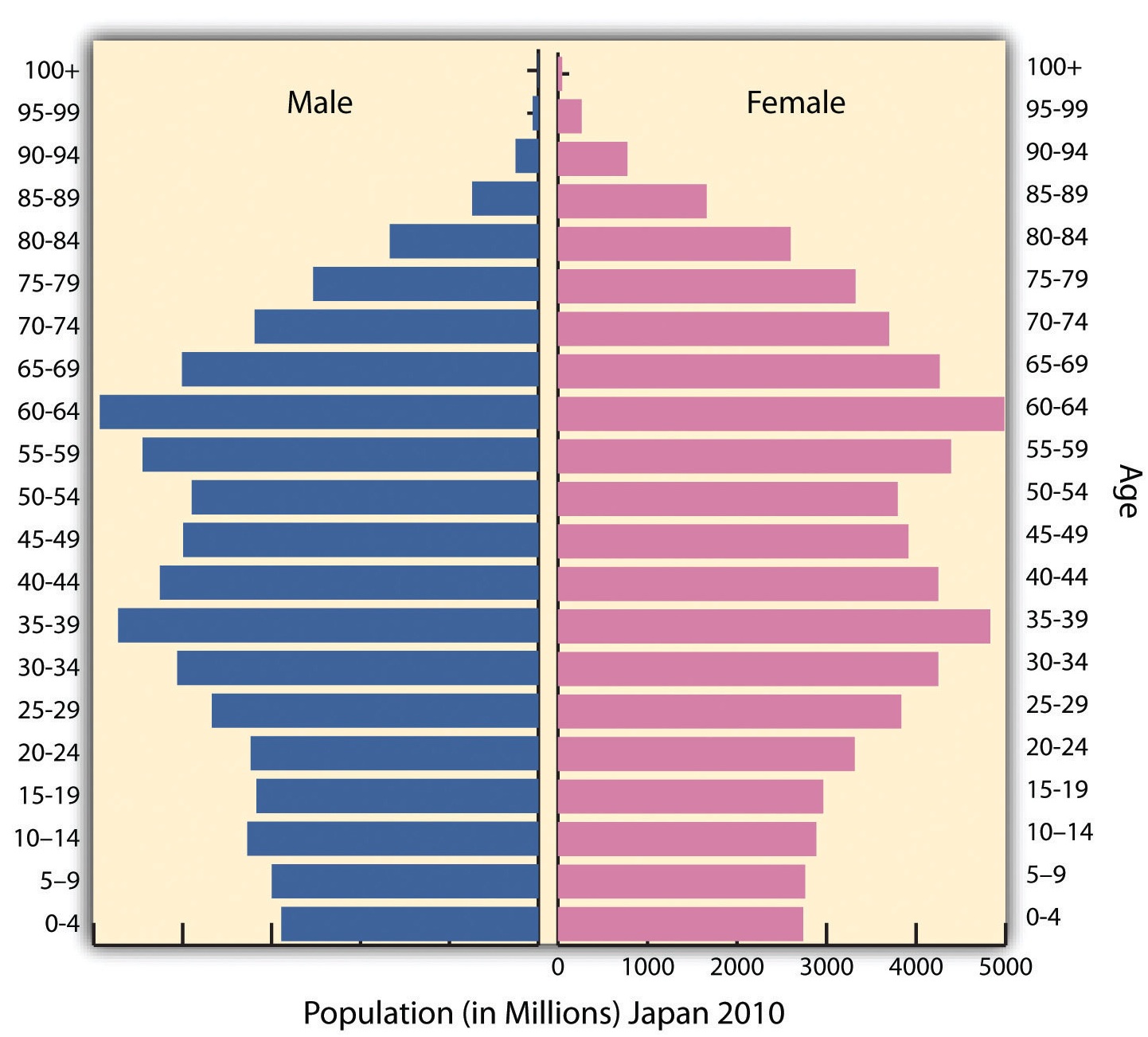 Japan Population Chart