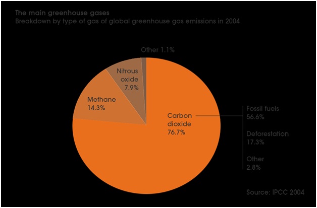 the main sources of carbon dioxide emissions environmental sciences essay Vehicles are now america's biggest co2 source but epa is tearing up regulations about 19bn tons of carbon dioxide emissions environmental groups and. the main sources of carbon dioxide emissions environmental sciences essay Vehicles are now america's biggest co2 source but epa is tearing up regulations about 19bn tons of carbon dioxide emissions environmental groups and.