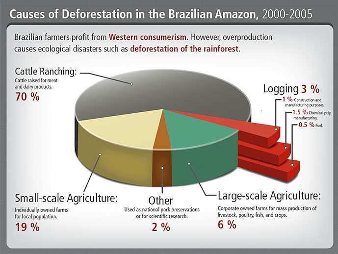 What are the primary causes of global deforestation?