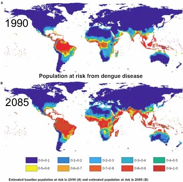 global warming and insect desease 