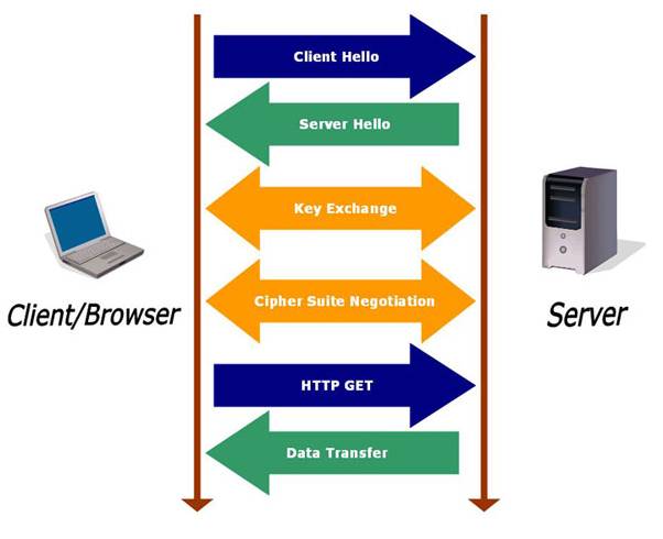 The Secure Sockets Layer The Secure Sockets Layer