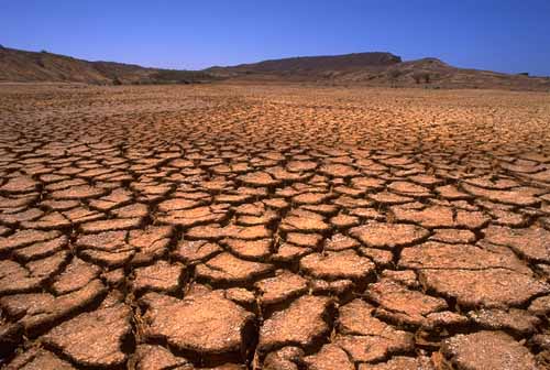 Droughts Pictures