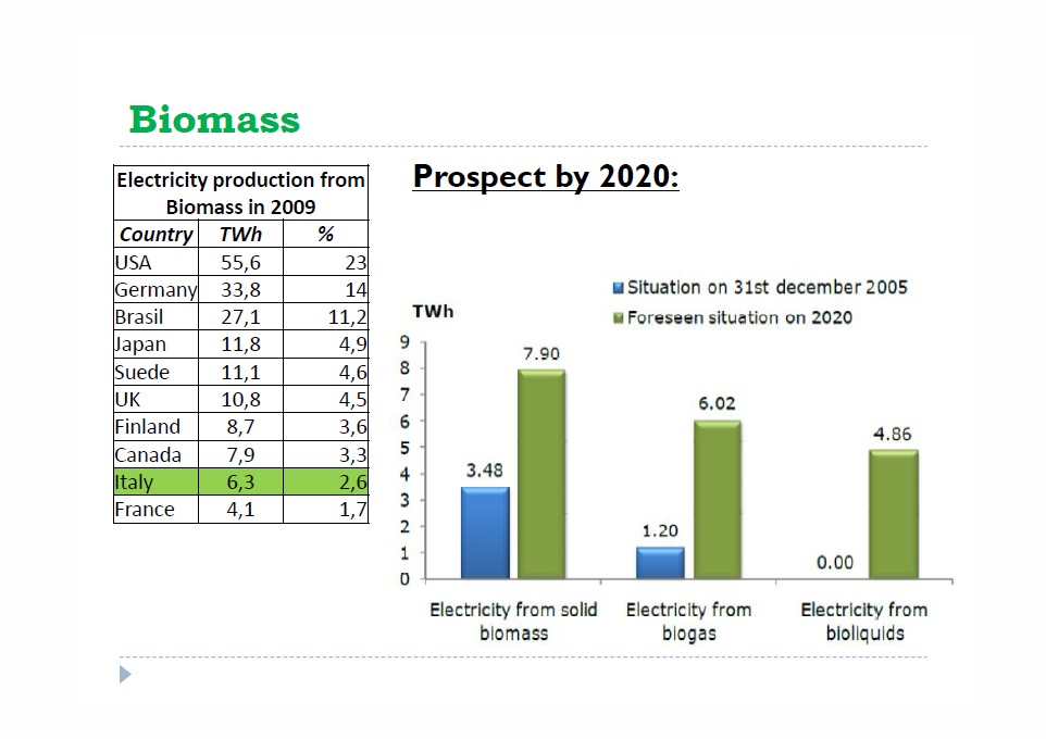 Biomass