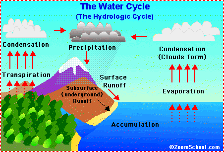 Water Cycle