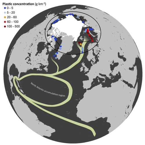  Locations and plastic concentrations of the sites sampled. The white area shows the extension of the polar ice cap in August 2013, and green curves represent the North Atlantic Subtropical Ocean Gyres and the Global Thermohaline Circulation poleward branch. (Andres Cozar)