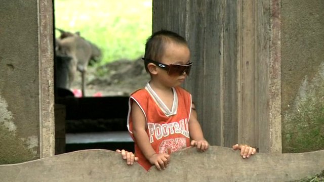 Logging blamed for Philippine flood deaths Logging blamed for Philippine flood deaths