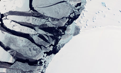 antarctic