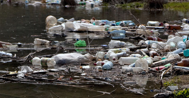 Dutch researchers invent a process to turn plants into plastics Dutch researchers invent a process to turn plants into plastics