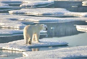 Revealed: the secret battle for the riches of the Arctic