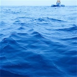 Urgent Investment In Renewables Needed
