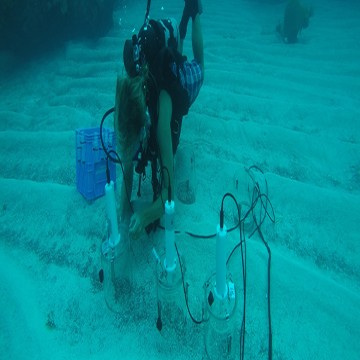 Acid Ocean - Reef Loss Risk